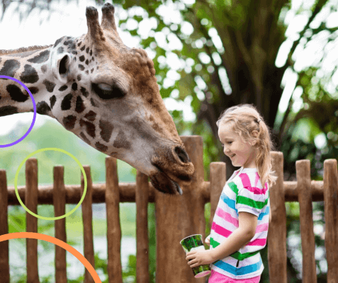 Giraffensprache - achtsam und bedürfnisorientiert